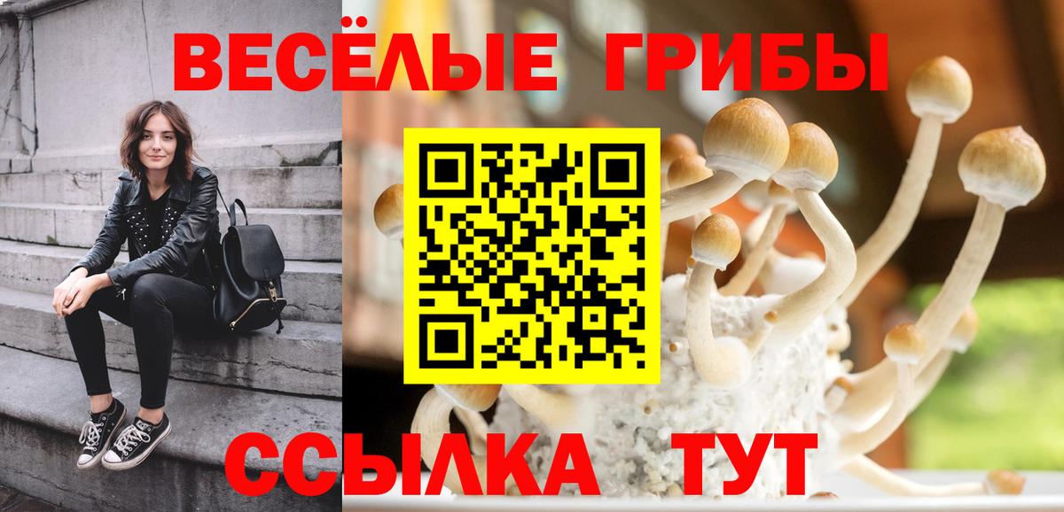 Галлюциногенные грибы прущие грибы Всеволожск